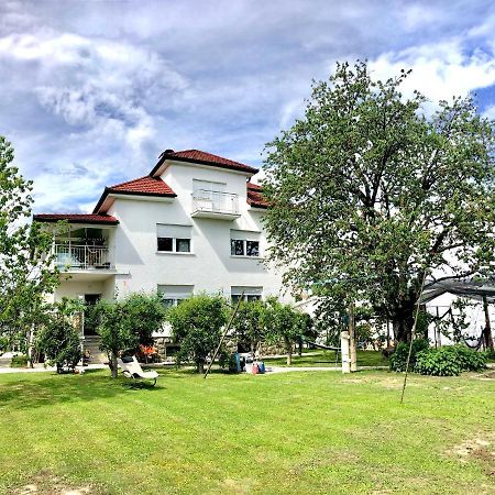 Apartments Andrej - Optuj Buitenkant foto